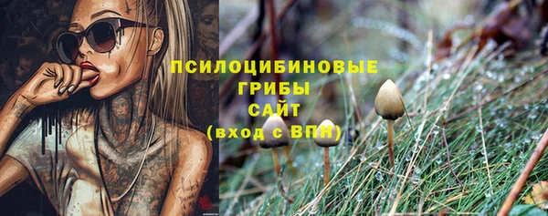 прущие крисы Алексин
