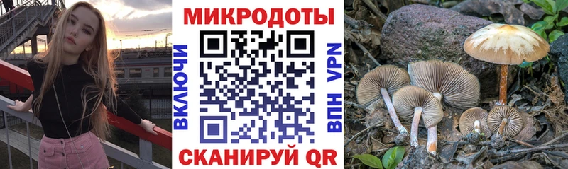 Галлюциногенные грибы Magic Shrooms  Спасск 